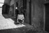 Spopolamento (26)